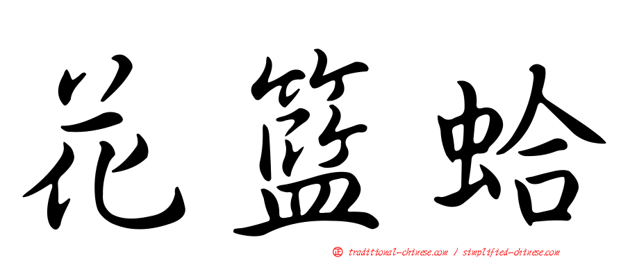 花籃蛤