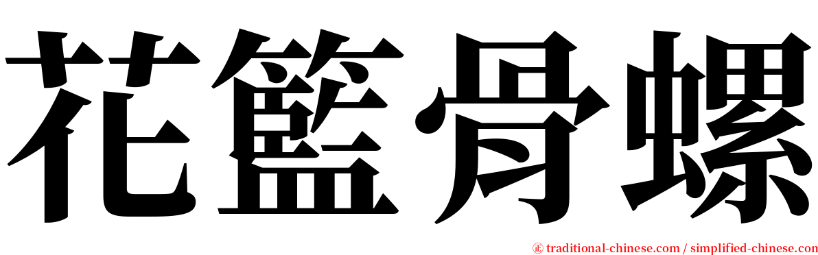 花籃骨螺 serif font