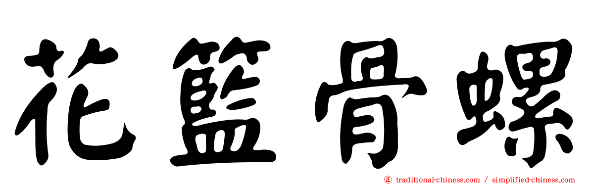 花籃骨螺