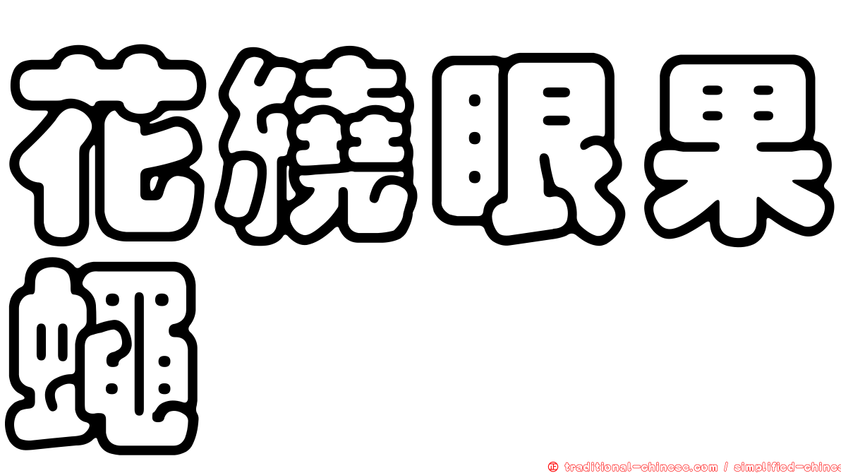 花繞眼果蠅