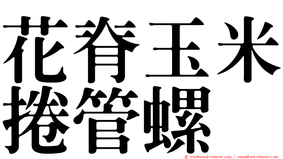 花脊玉米捲管螺