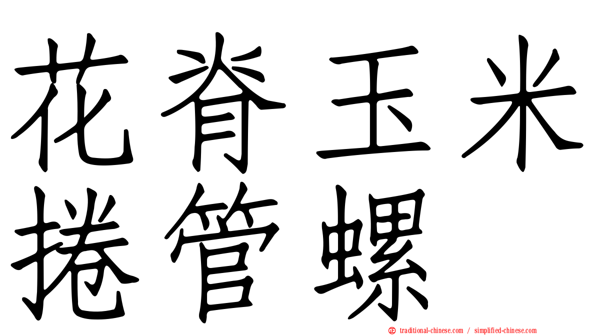 花脊玉米捲管螺