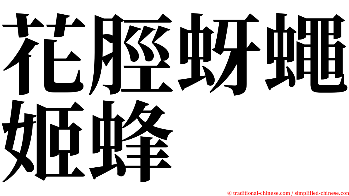 花脛蚜蠅姬蜂 serif font