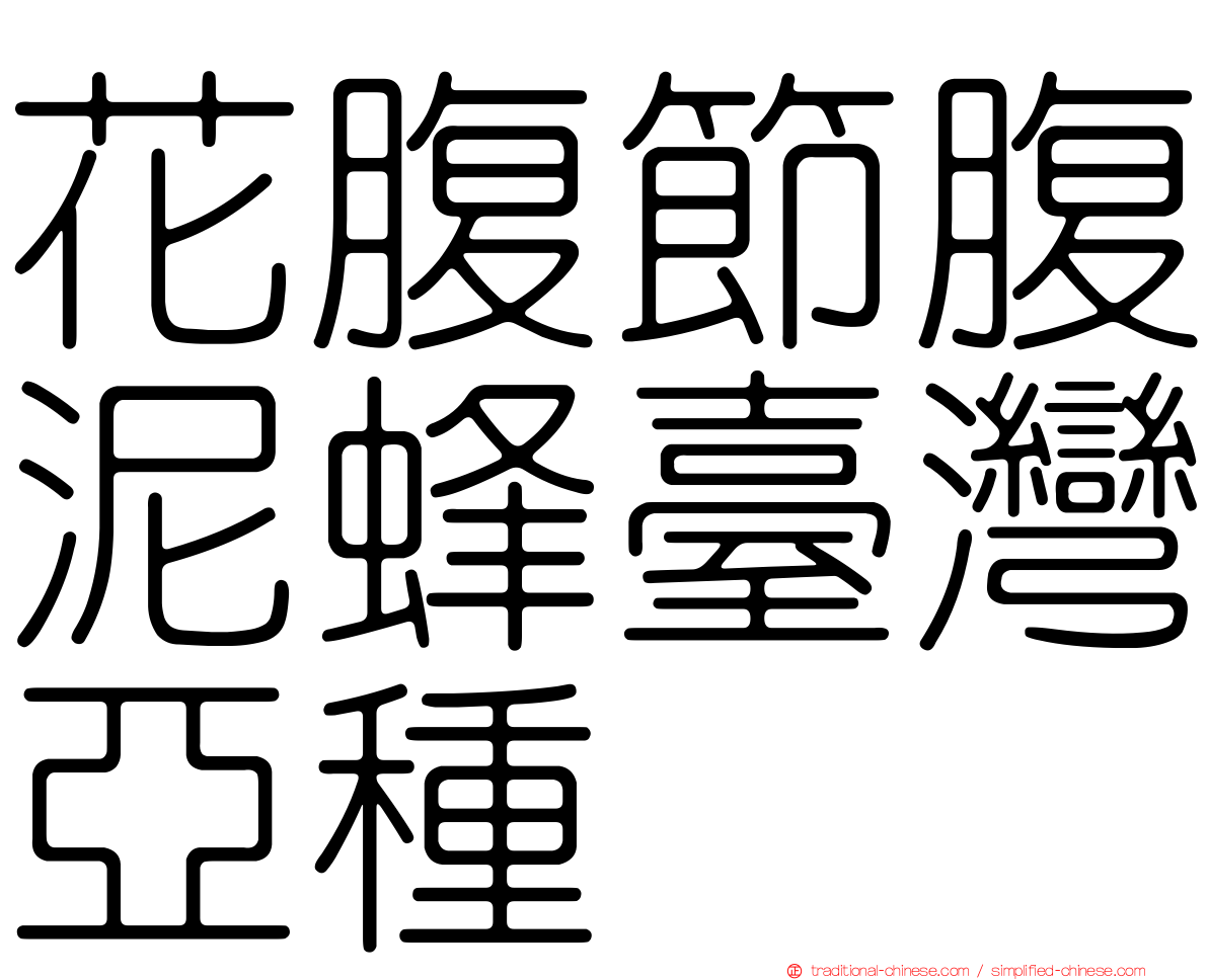 花腹節腹泥蜂臺灣亞種