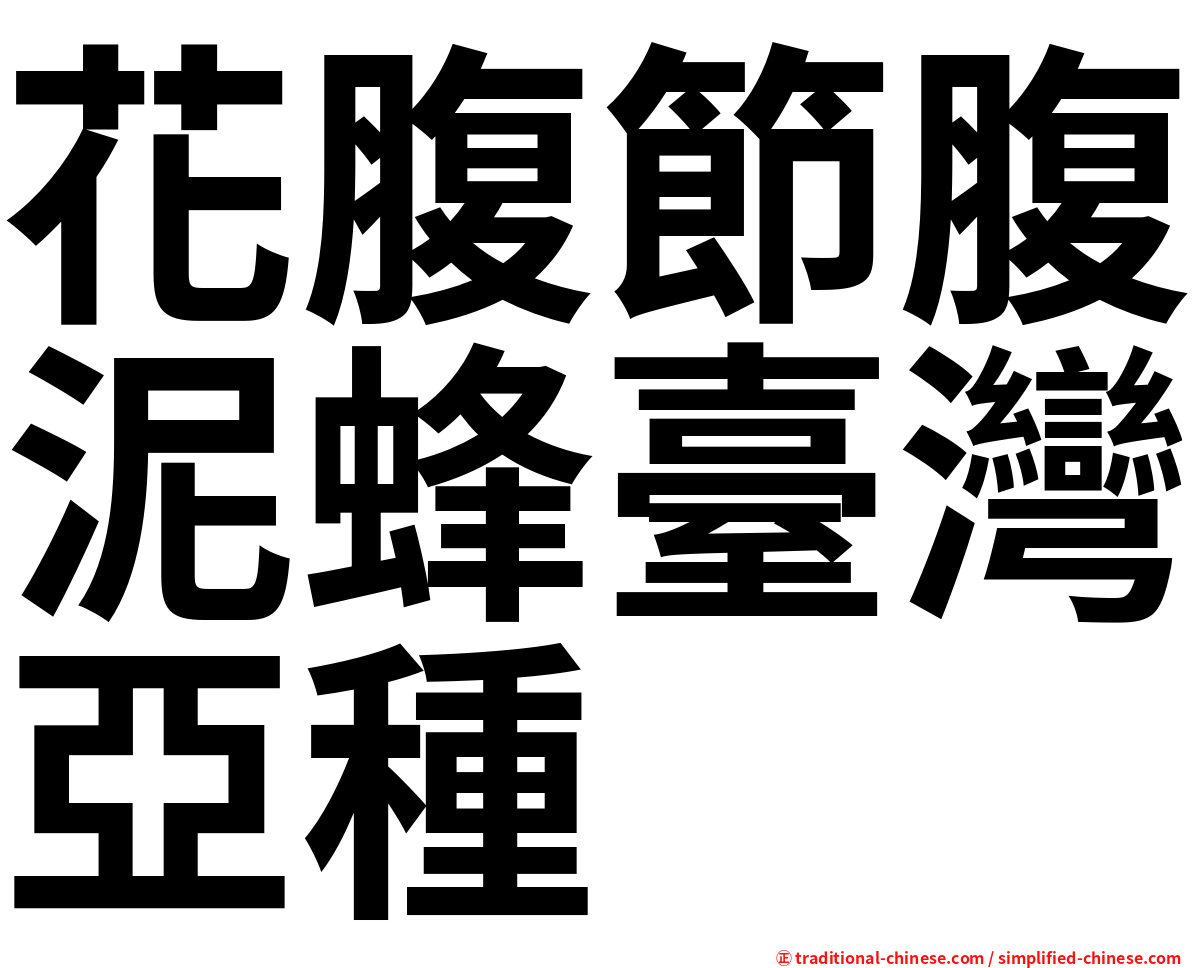 花腹節腹泥蜂臺灣亞種