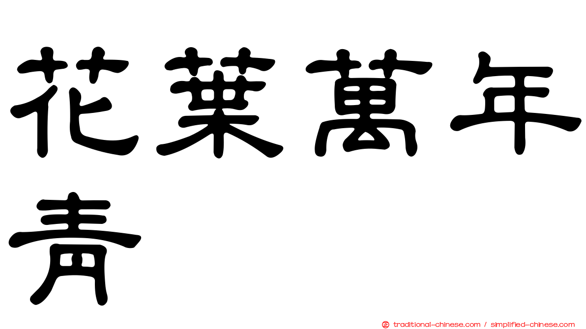 花葉萬年青
