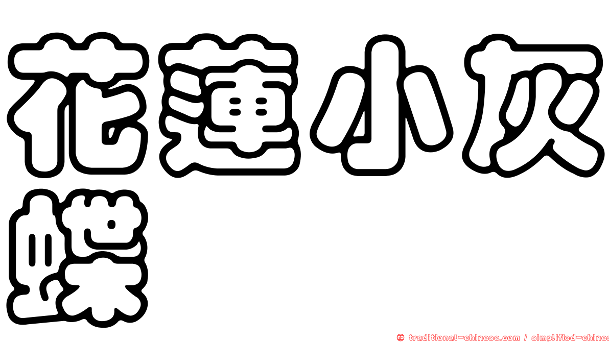 花蓮小灰蝶