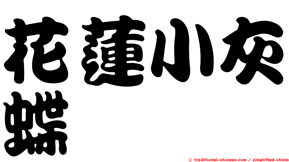 花蓮小灰蝶