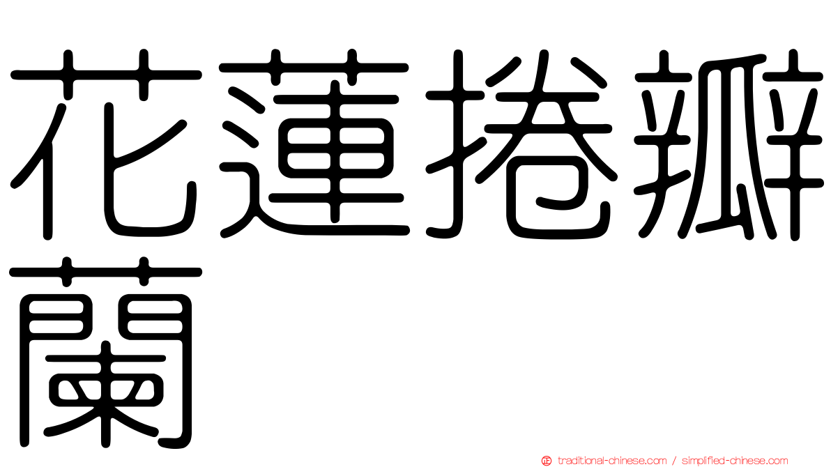 花蓮捲瓣蘭