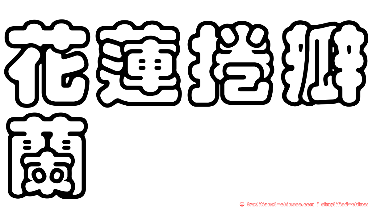 花蓮捲瓣蘭