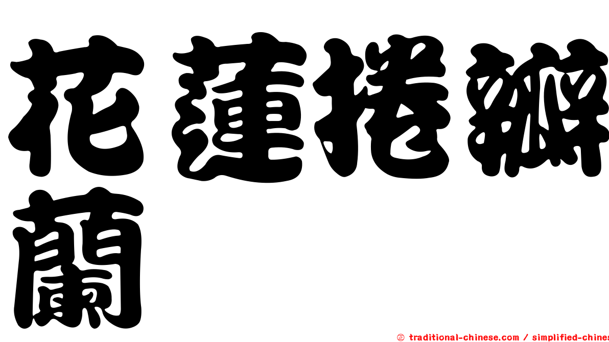 花蓮捲瓣蘭