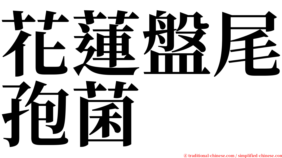 花蓮盤尾孢菌 serif font