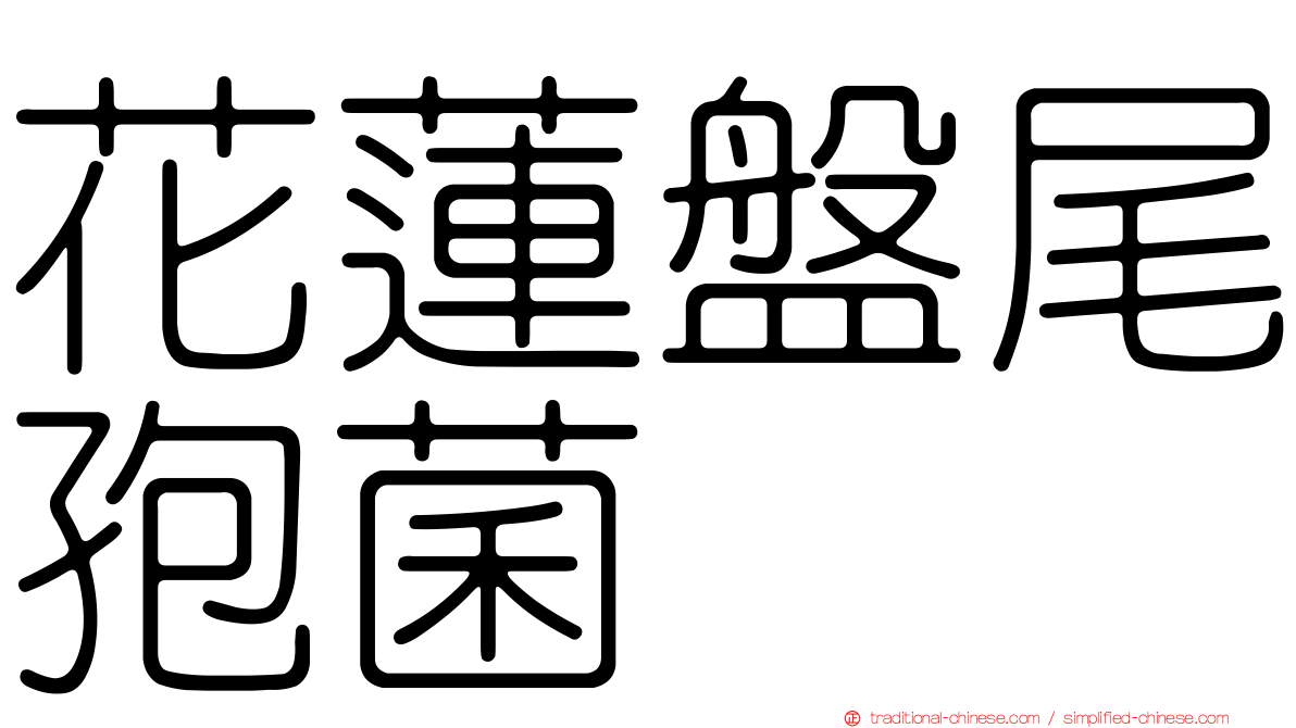 花蓮盤尾孢菌