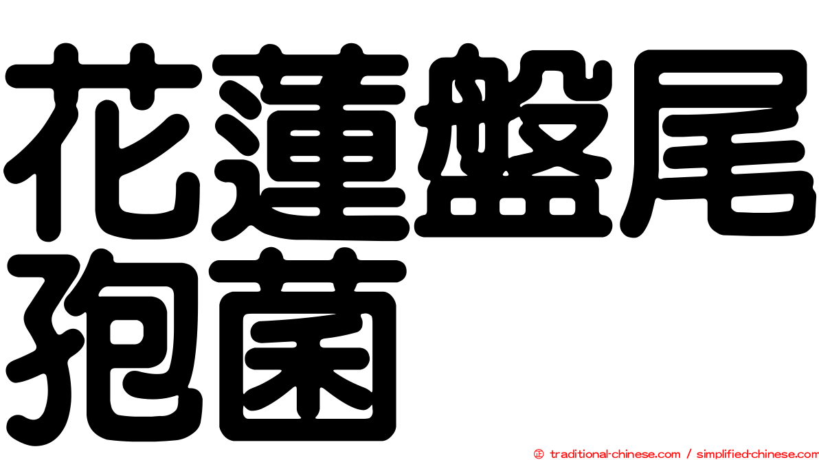 花蓮盤尾孢菌