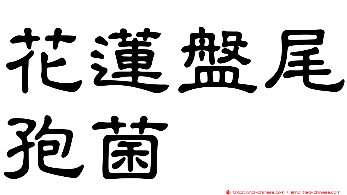 花蓮盤尾孢菌