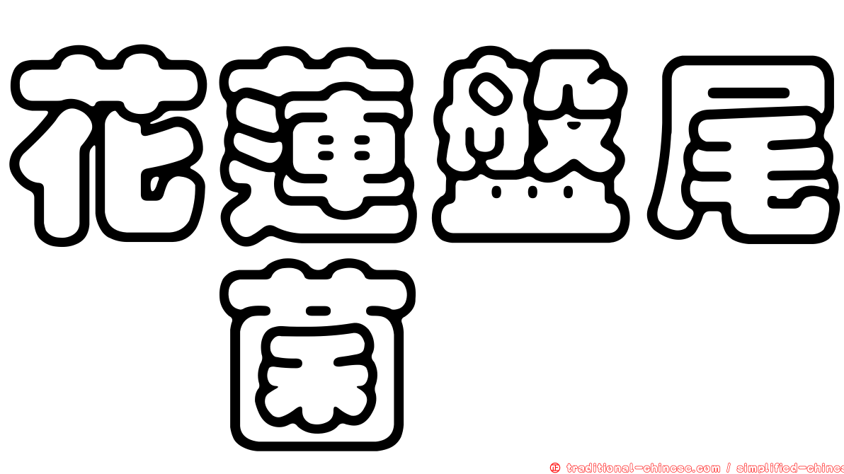 花蓮盤尾孢菌