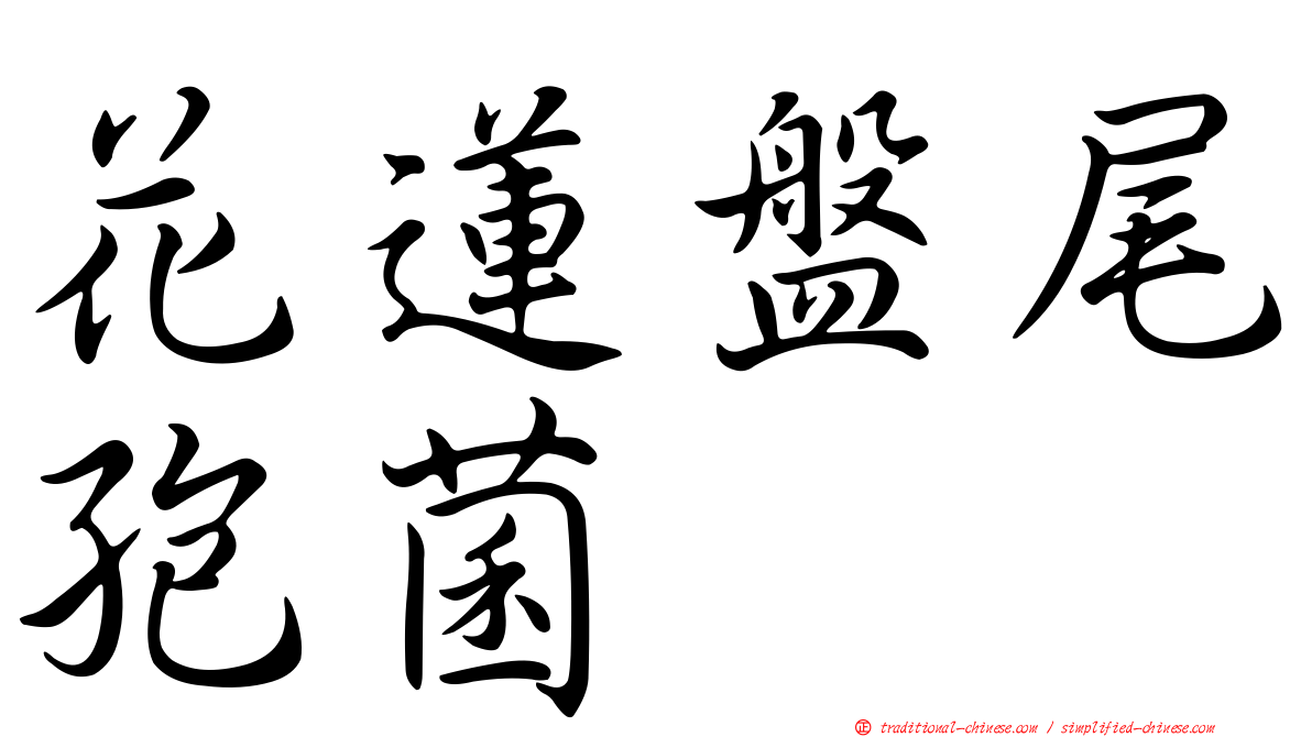 花蓮盤尾孢菌