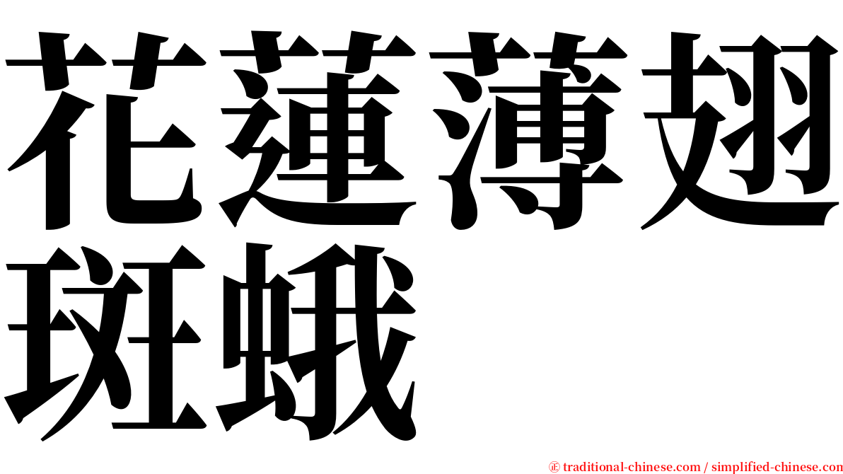 花蓮薄翅斑蛾 serif font
