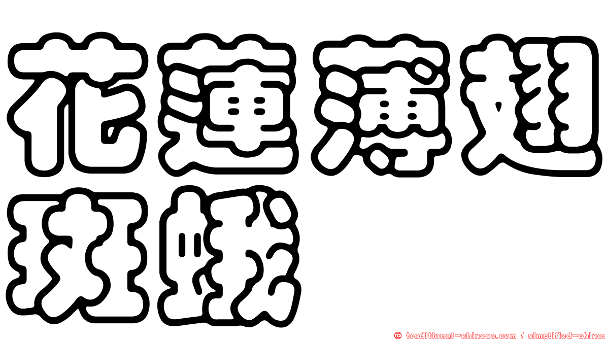 花蓮薄翅斑蛾