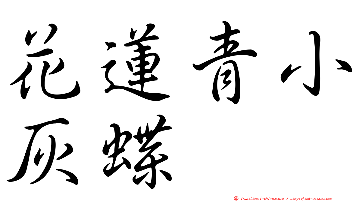 花蓮青小灰蝶