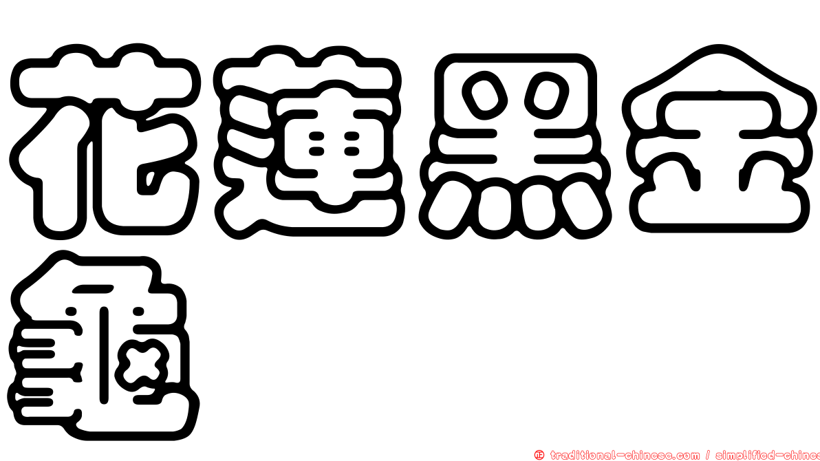 花蓮黑金龜