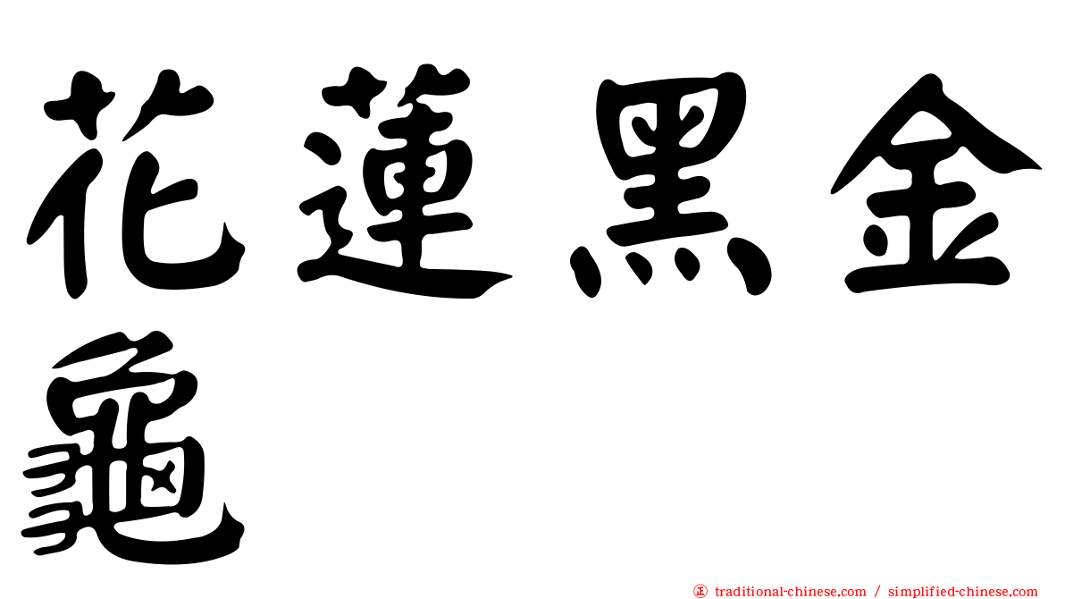 花蓮黑金龜