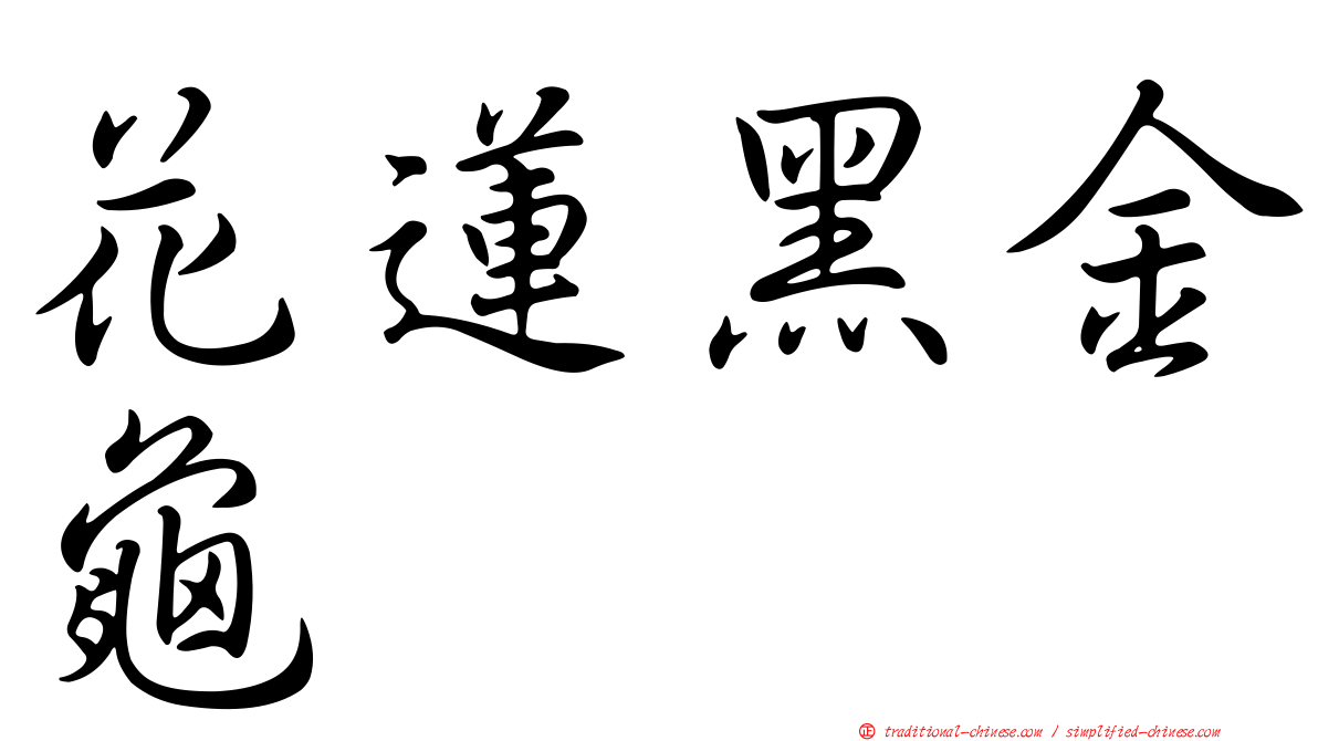 花蓮黑金龜