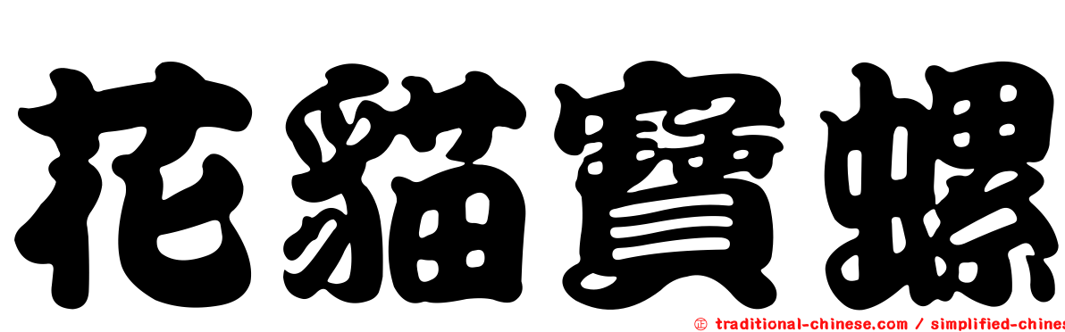 花貓寶螺