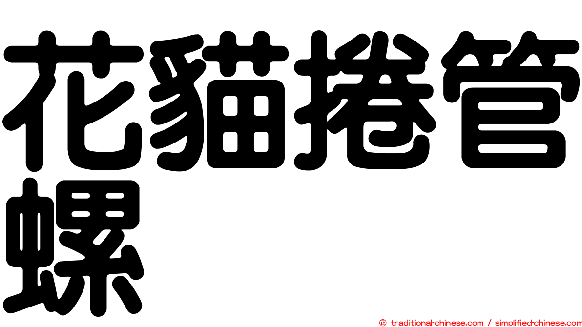 花貓捲管螺
