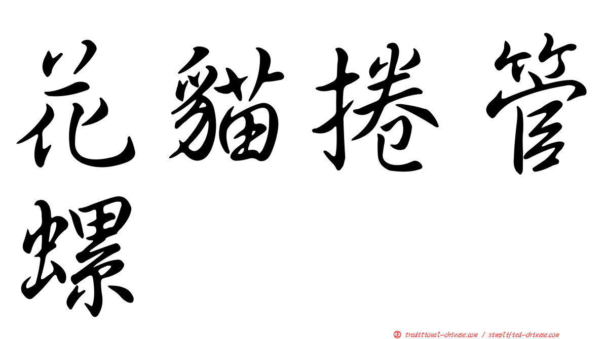 花貓捲管螺