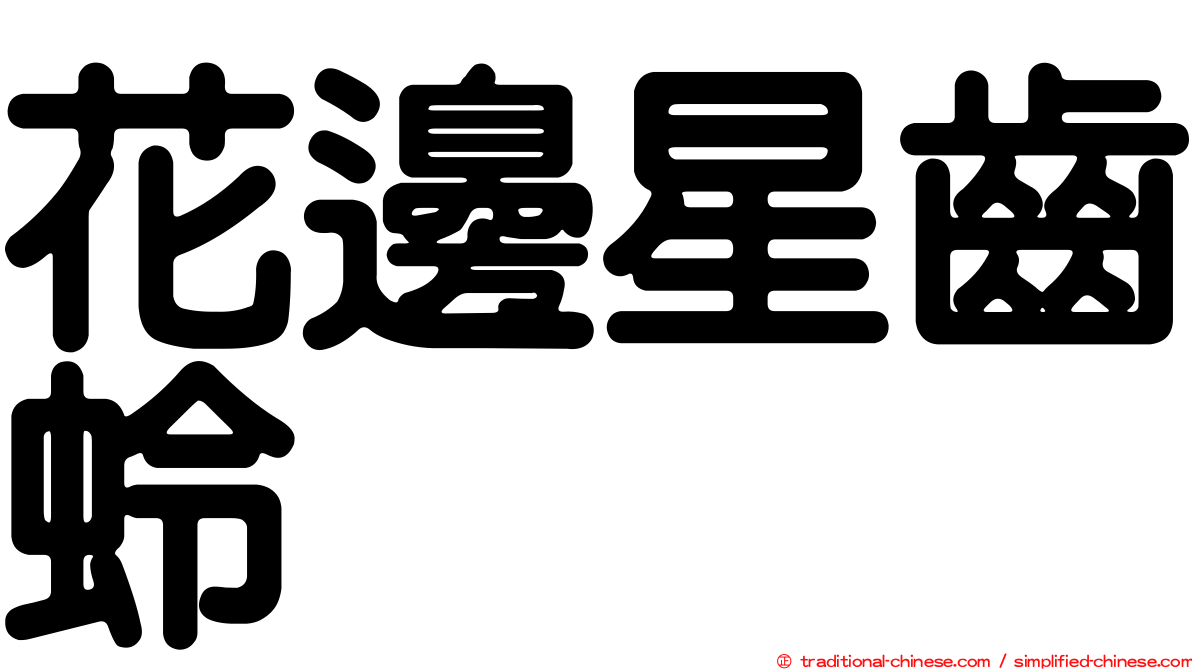 花邊星齒蛉