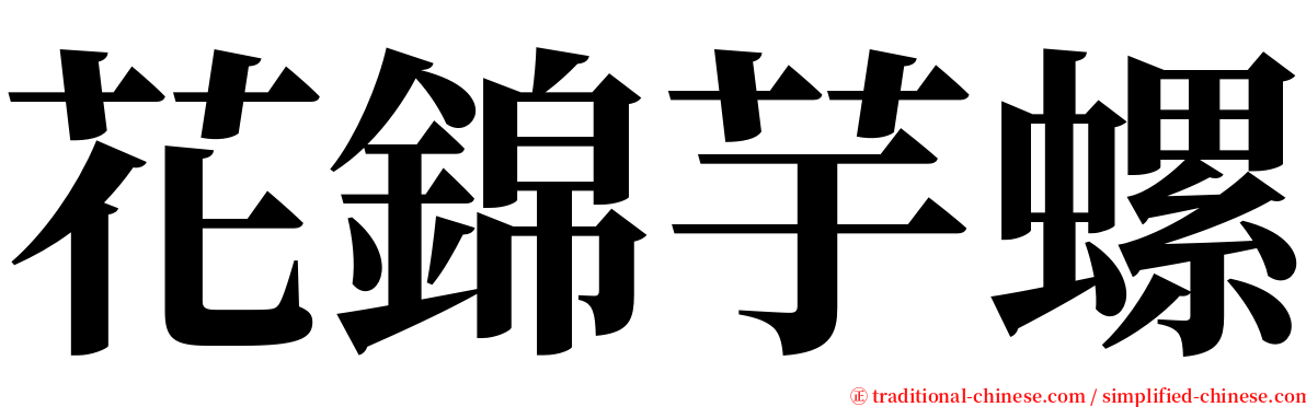 花錦芋螺 serif font