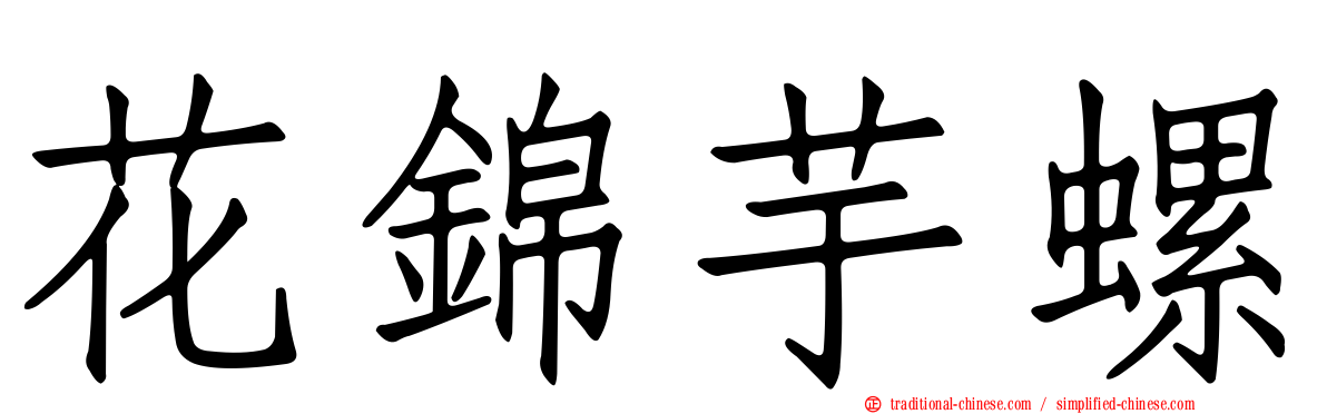 花錦芋螺