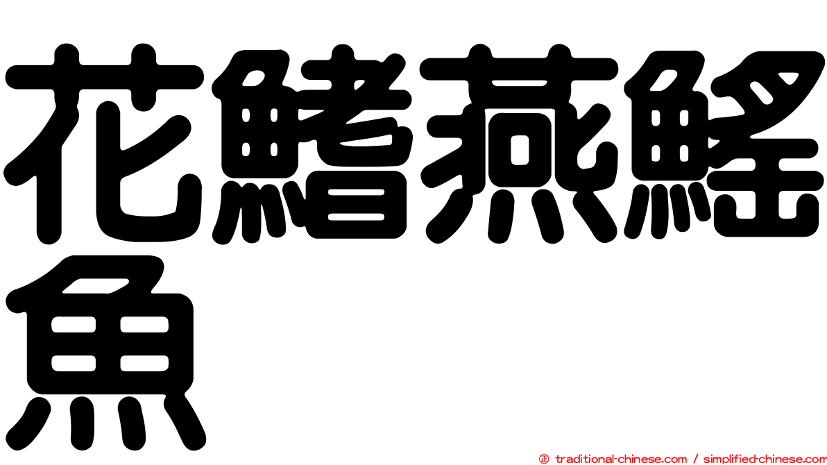 花鰭燕鰩魚