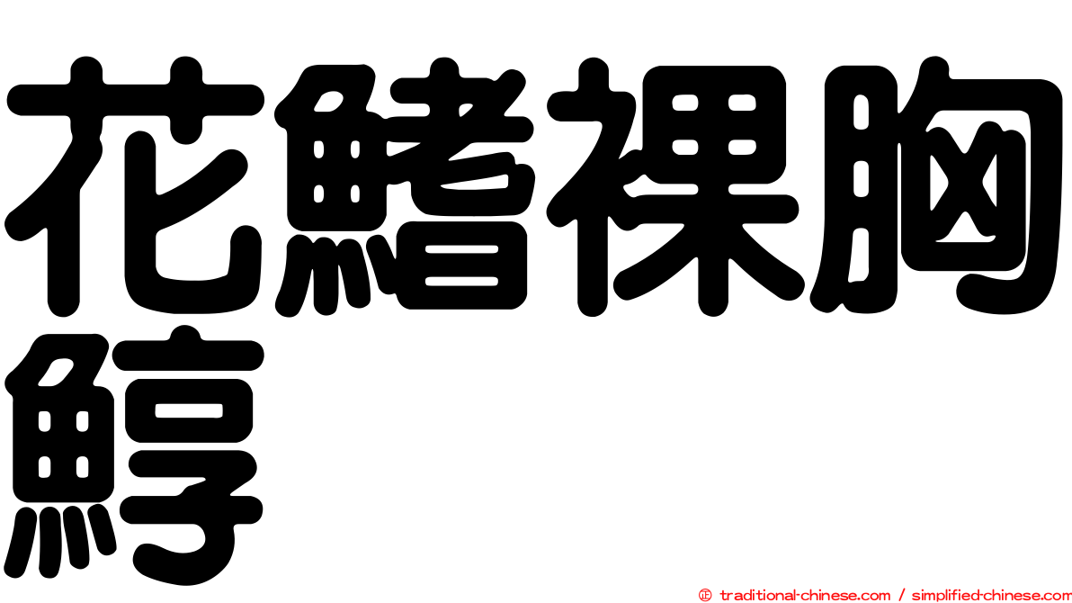 花鰭裸胸鯙