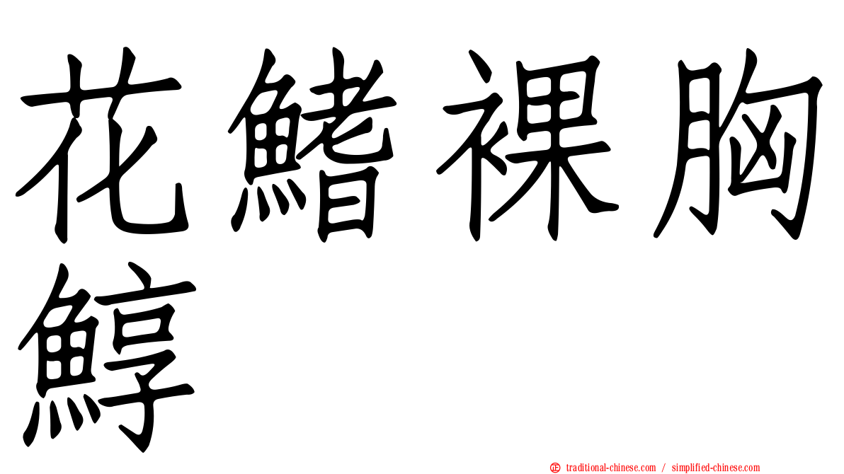 花鰭裸胸鯙