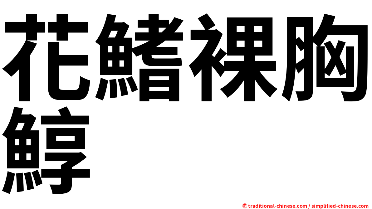 花鰭裸胸鯙