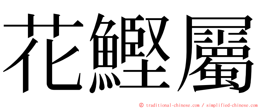 花鰹屬 ming font