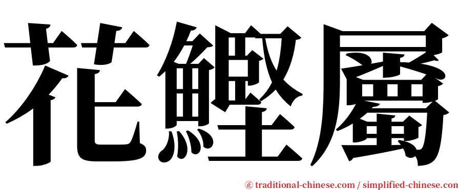 花鰹屬 serif font