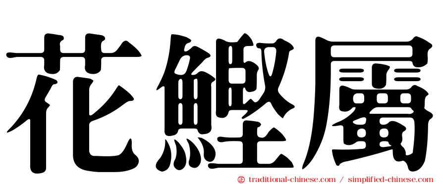 花鰹屬