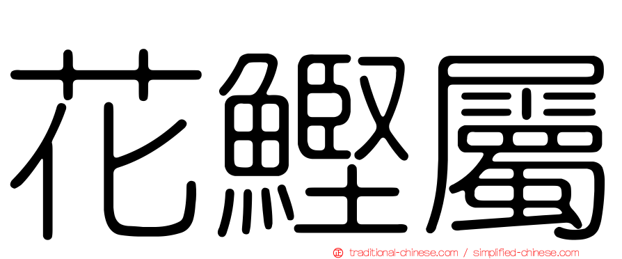 花鰹屬