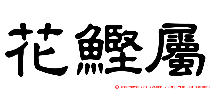 花鰹屬