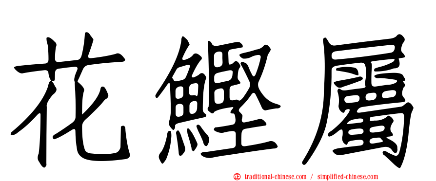 花鰹屬