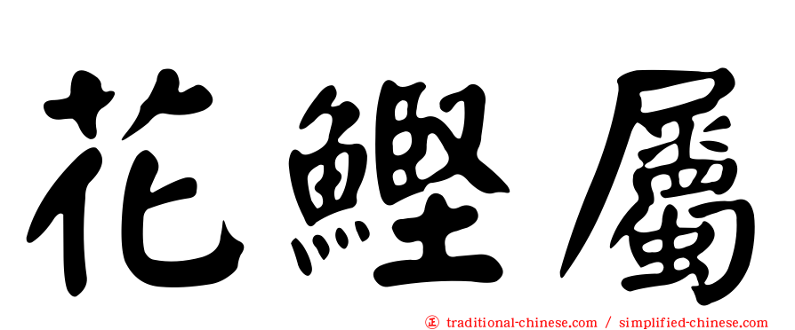 花鰹屬