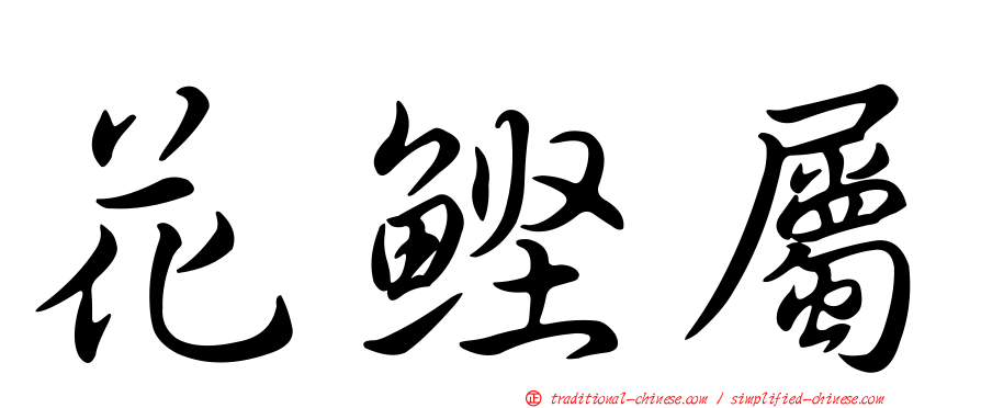 花鰹屬