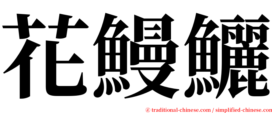 花鰻鱺 serif font