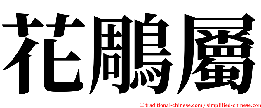 花鵰屬 serif font