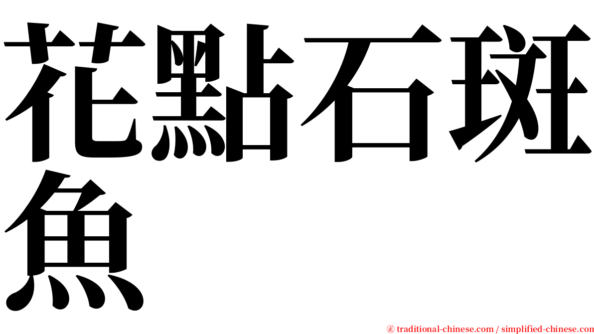 花點石斑魚 serif font