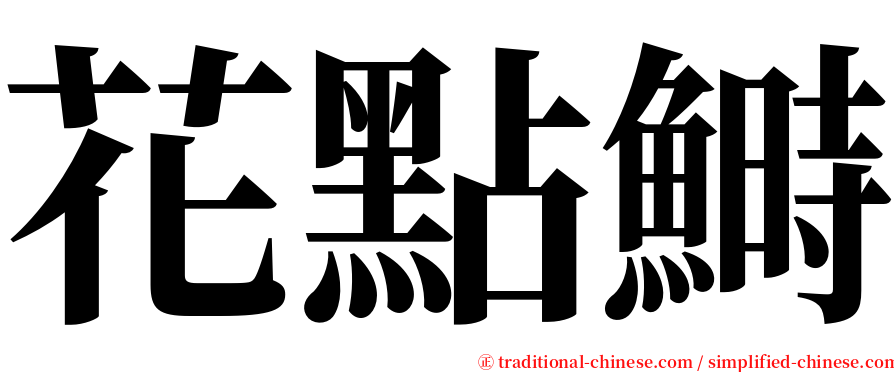 花點鰣 serif font