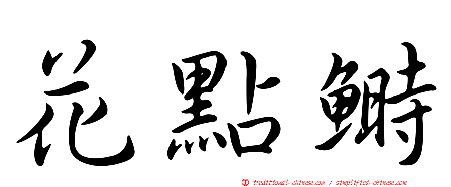 花點鰣